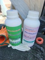 팜모닝 딸기·영농일지 게시글 이미지