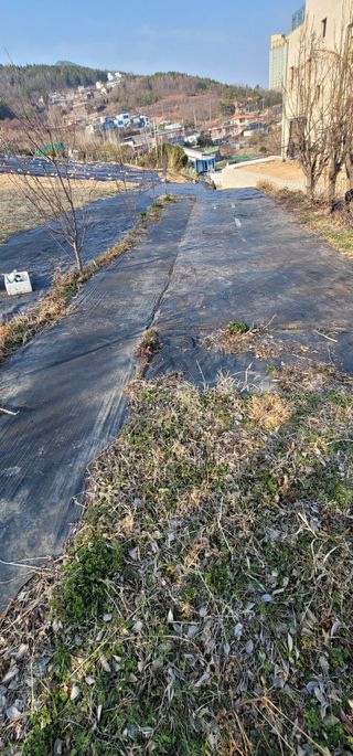 박종화님의 기타작물 · 영농일지 작성글 사진