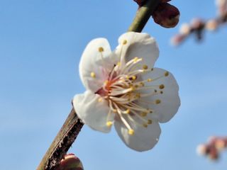 레인보우가든님의 기타작물 · 영농일지 작성글 사진