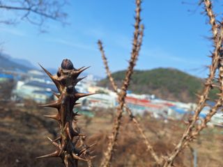 레인보우가든님의 기타작물 · 영농일지 작성글 사진