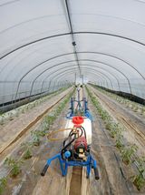 팜모닝 기타작물·영농일지 게시글 이미지