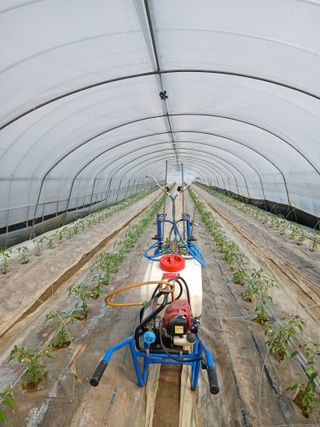 Smy1245678님의 기타작물 · 영농일지 작성글 사진