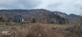 김동제님의 기타작물 · 영농일지 작성글 사진