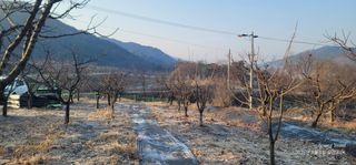 엄성열님의 기타작물 · 영농일지 작성글 사진