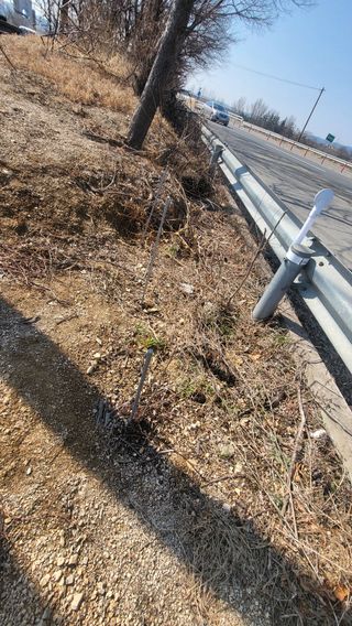 괴동조합장님의 기타작물 · 영농일지 작성글 사진