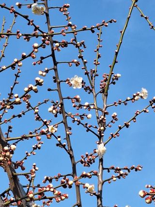 레인보우가든님의 기타작물 · 영농일지 작성글 사진