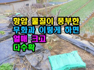 꿈꾸는텃밭님의 기타작물 · 영농일지 작성글 사진