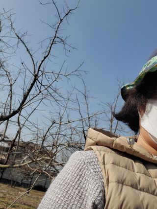 친환경세상만들기님의 기타작물 · 영농일지 작성글 사진