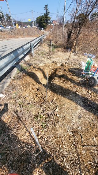 괴동조합장님의 기타작물 · 영농일지 작성글 사진