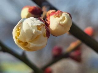 레인보우가든님의 기타작물 · 영농일지 작성글 사진