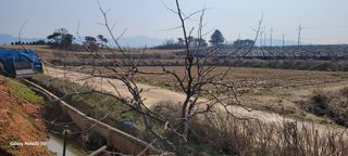 김동제님의 기타작물 · 영농일지 작성글 사진