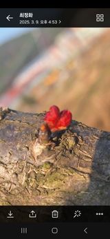 팜모닝 기타작물·영농일지 게시글 이미지