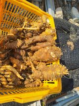 팜모닝 기타작물·영농일지 게시글 이미지