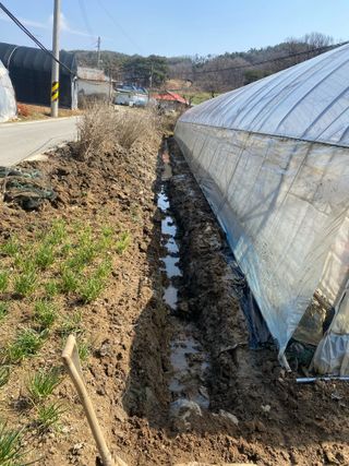 임태묵님의 기타작물 · 영농일지 작성글 사진