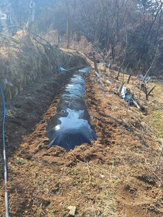 레인보우가든님의 기타작물 · 영농일지 작성글 사진