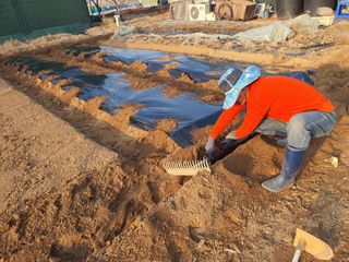 이종선님의 감자 · 영농일지 작성글 사진