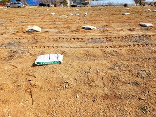 공실이님의 콩 · 영농일지 작성글 사진