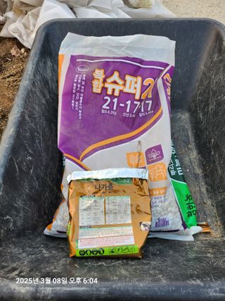 박선춘님의 마늘 · 영농일지 작성글 사진