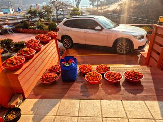 늘햇살팜 님의 기타작물 · 영농일지 작성글 사진