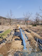 팜모닝 기타작물·영농일지 게시글 이미지