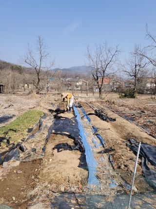 친환경세상만들기님의 기타작물 · 영농일지 작성글 사진