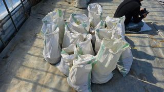 김남근님의 감자 · 영농일지 작성글 사진