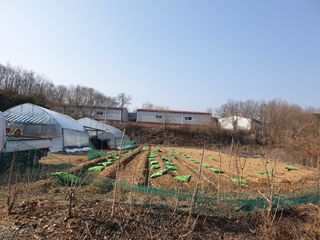 샤이니바다님의 기타작물 · 영농일지 작성글 사진