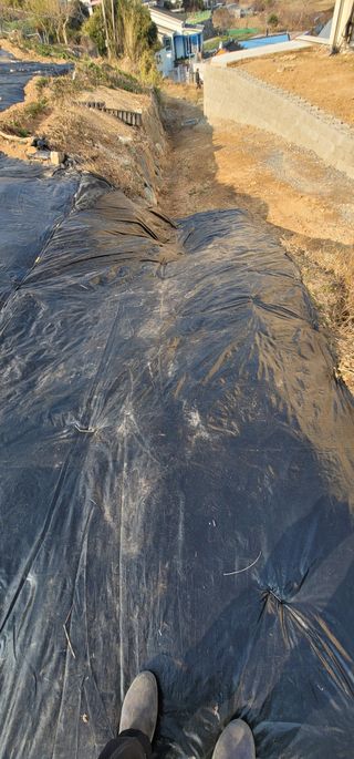 박종화님의 기타작물 · 영농일지 작성글 사진