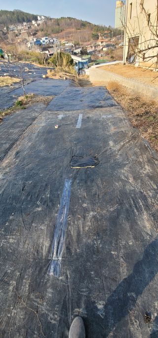 박종화님의 기타작물 · 영농일지 작성글 사진