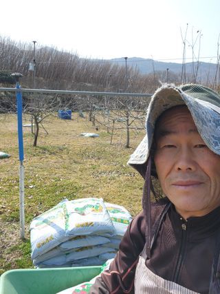 키다리님의 감 · 영농일지 작성글 사진