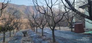 엄성열님의 기타작물 · 영농일지 작성글 사진