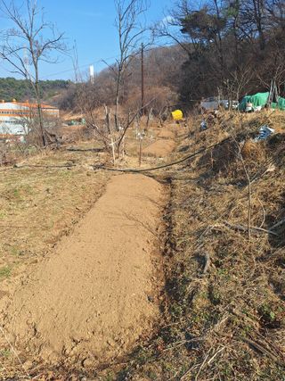 레인보우가든님의 기타작물 · 영농일지 작성글 사진