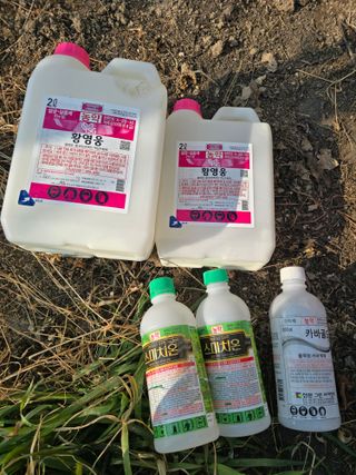 신현오님의 복숭아 · 영농일지 작성글 사진