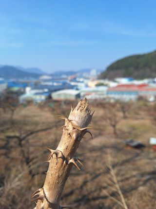 레인보우가든님의 기타작물 · 영농일지 작성글 사진