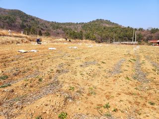 공실이님의 콩 · 영농일지 작성글 사진