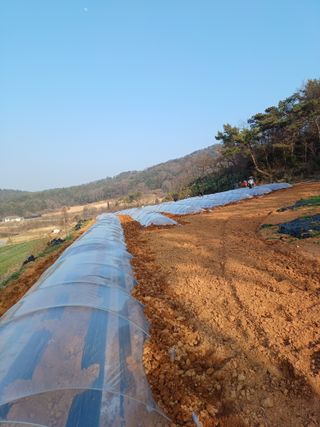 결단이님의 기타작물 · 영농일지 작성글 사진