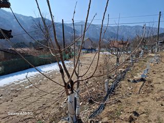 권순익님의 기타작물 · 영농일지 작성글 사진