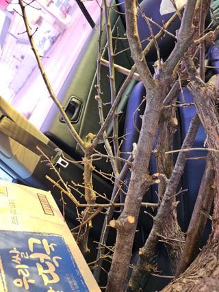 권다갈님의 기타작물 · 영농일지 작성글 사진