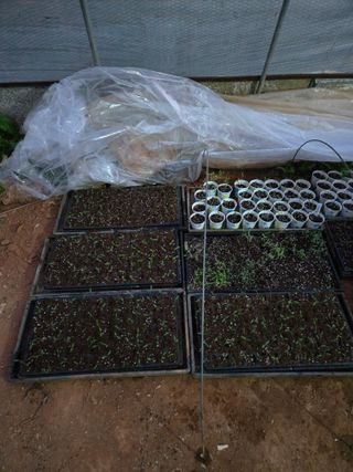 주말농장1님의 기타작물 · 영농일지 작성글 사진