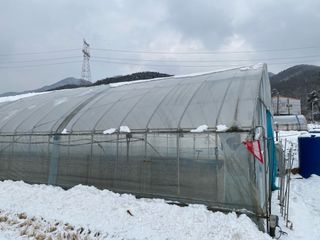 오작교농장님의 기타작물 · 영농일지 작성글 사진