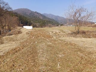 이남수진천님의 고추 · 영농일지 작성글 사진