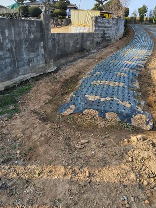 최유순님의 기타작물 · 영농일지 작성글 사진