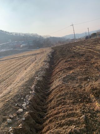 백용구님의 두릅 · 영농일지 작성글 사진