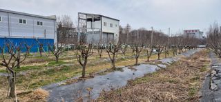 허행선님의 기타작물 · 영농일지 작성글 사진