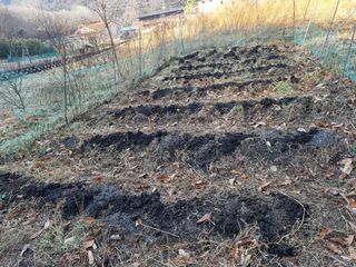 새싹님의 기타작물 · 영농일지 작성글 사진