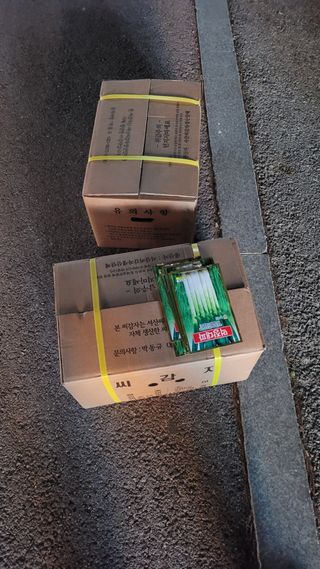 정지덕님의 감자 · 영농일지 작성글 사진