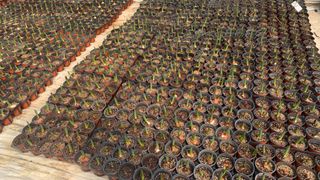 원스피릿팜님의 기타작물 · 영농일지 작성글 사진