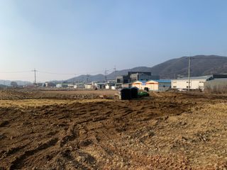 백용구님의 두릅 · 영농일지 작성글 사진