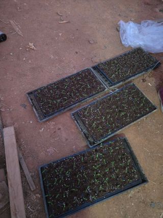 주말농장1님의 기타작물 · 영농일지 작성글 사진