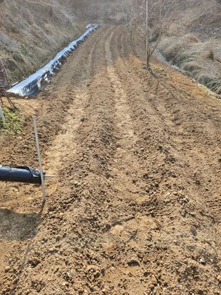 장흥식님의 기타작물 · 영농일지 작성글 사진